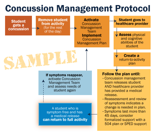 Concussions Checklists